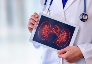 Doctor showing a kidney visual on a tablet